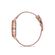 Ceas Daniel Klein Premium DK.1.12533.6