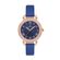 Ceas Daniel Klein Premium DK.1.12563.6