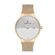 Ceas Daniel Klein Premium DK.1.12627.3