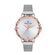 Ceas Daniel Klein Trendy DK.1.12520.4