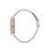 Ceas Daniel Klein Trendy DK.1.12520.4