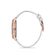 Ceas Daniel Klein Trendy DK.1.12525.4