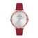 Ceas Daniel Klein Trendy DK.1.12525.6