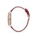 Ceas Daniel Klein Trendy DK.1.12525.6