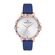 Ceas Daniel Klein Trendy DK.1.12525.7
