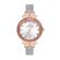 Ceas Daniel Klein Trendy DK.1.12554.5