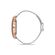 Ceas Daniel Klein Trendy DK.1.12554.5