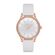 Ceas Freelook Eiffel FL.1.10151.1