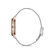 Ceas Freelook Lumiere FL.1.10148.4