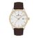 Ceas Daniel Klein Premium DK.1.12669.5