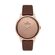 Ceas Daniel Klein Premium DK.1.12685.2