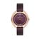 Ceas Daniel Klein Premium DK.1.12695.5