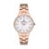 Ceas Daniel Klein Premium DK.1.12714.6