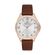 Ceas Daniel Klein Premium DK.1.12720.3