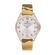 Ceas Daniel Klein Premium DK.1.12720.5