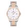Ceas Daniel Klein Premium DK.1.12755.4