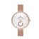 Ceas Daniel Klein Premium DK.1.12757.2