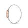 Ceas Freelook Reine FL.1.10132.4