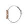 Ceas Daniel Klein Premium DK.1.12773.2