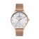 Ceas Daniel Klein Premium DK.1.12789.3