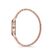 Ceas Daniel Klein Premium DK.1.12804.2