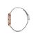 Ceas Daniel Klein Premium DK.1.12809.6