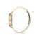 Ceas Daniel Klein Premium DK.1.12857.3