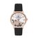 Ceas Daniel Klein Trendy DK.1.12792.6