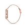 Ceas Freelook Eiffel FL.1.10205.2