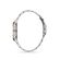 Ceas Daniel Klein Premium DK.1.12893.4