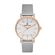 Ceas Daniel Klein Premium DK.1.12894.4
