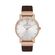 Ceas Daniel Klein Premium DK.1.12895.3