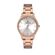 Ceas Daniel Klein Premium DK.1.12898.4