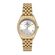 Ceas Daniel Klein Premium DK.1.12903.3