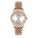 Ceas Daniel Klein Premium DK.1.12909.3