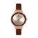 Ceas Daniel Klein Premium DK.1.12913.3