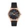 Ceas Daniel Klein Premium DK.1.12925.3