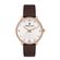 Ceas Daniel Klein Premium DK.1.12931.3