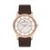 Ceas Daniel Klein Premium DK.1.12949.3