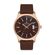 Ceas pentru barbati, Daniel Klein Premium, DK.1.12985.3
