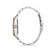 Ceas Daniel Klein Premium DK.1.12994.6