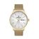 Ceas Daniel Klein Premium DK.1.12996.4
