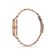 Ceas Daniel Klein Premium DK.1.12934.4