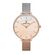 Ceas Daniel Klein Premium DK.1.12972.3