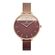 Ceas pentru dama, Daniel Klein Premium, DK.1.12972.5