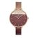 Ceas Daniel Klein Premium DK.1.12972.5