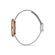 Ceas Daniel Klein Premium DK.1.12980.5
