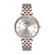 Ceas pentru dama, Daniel Klein Premium, DK.1.12997.5