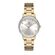 Ceas pentru dama, Daniel Klein Premium, DK.1.13010.3