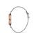 Ceas Daniel Klein Trendy DK.1.12929.5